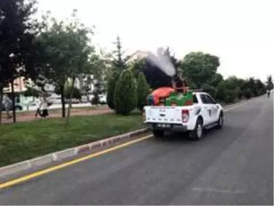 Pursaklar'da virüsle ve haşereyle eş zamanlı mücadele Pursaklar'da virüsle ve haşereyle eş zamanlı mücadele