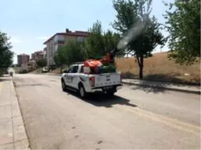 Pursaklar'da virüsle ve haşereyle eş zamanlı mücadele Pursaklar'da virüsle ve haşereyle eş zamanlı mücadele