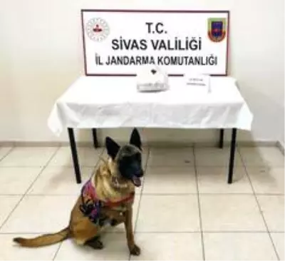 Son dakika 3. sayfa: Sivas'ta 4 kilo 662 gram esrar ele geçirildi Son dakika 3. sayfa: Sivas'ta 4 kilo 662 gram esrar ele geçirildi