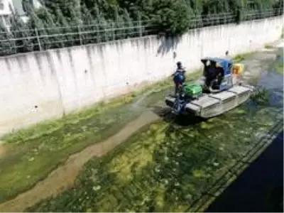 Sivrisinek mücadelesi kesintisiz sürüyor Sivrisinek mücadelesi kesintisiz sürüyor