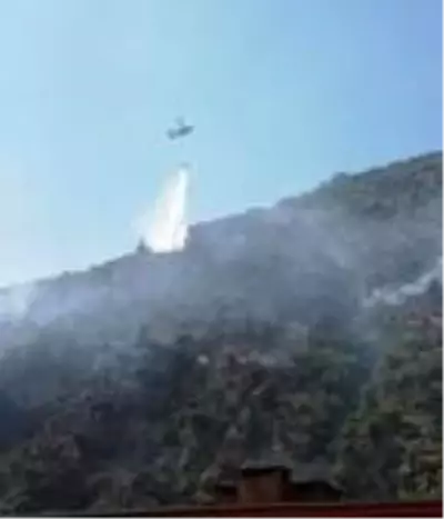 Son dakika haberi: Söke'de makilik alanda yangın Son dakika haberi: Söke'de makilik alanda yangın