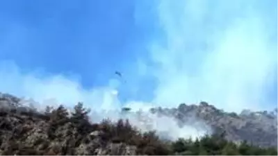 Son dakika 3. sayfa: Söke'deki orman yangını kontrol altına alındı Son dakika 3. sayfa: Söke'deki orman yangını kontrol altına alındı
