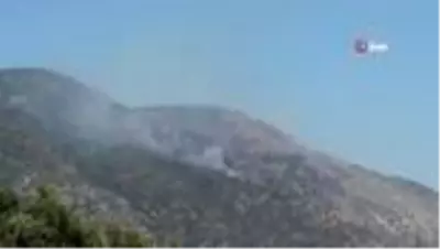 Son dakika haber... Söke'deki orman yangını kontrol altına alındı Son dakika haber... Söke'deki orman yangını kontrol altına alındı