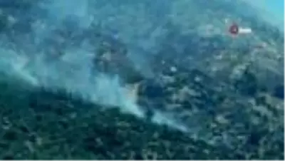 Son dakika haber... Söke'deki orman yangını kontrol altına alındı Son dakika haber... Söke'deki orman yangını kontrol altına alındı