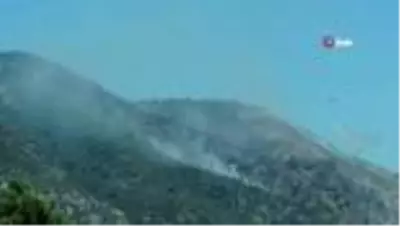 Son dakika haber... Söke'deki orman yangını kontrol altına alındı Son dakika haber... Söke'deki orman yangını kontrol altına alındı