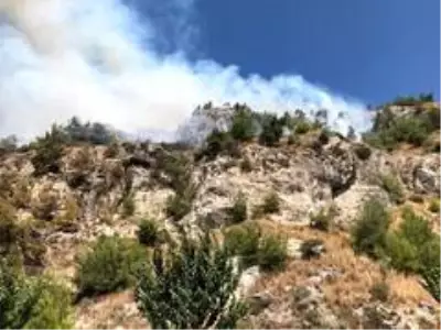 Son Dakika: Söke'deki orman yangınına Büyükşehir ekipleri müdahale ediyor Son Dakika: Söke'deki orman yangınına Büyükşehir ekipleri müdahale ediyor