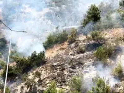 Son Dakika: Söke'deki orman yangınına Büyükşehir ekipleri müdahale ediyor Son Dakika: Söke'deki orman yangınına Büyükşehir ekipleri müdahale ediyor