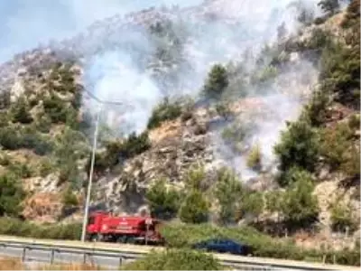 Son Dakika: Söke'deki orman yangınına Büyükşehir ekipleri müdahale ediyor Son Dakika: Söke'deki orman yangınına Büyükşehir ekipleri müdahale ediyor