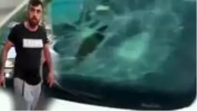 Son Dakika: İstanbul Alibeyköy'de trafikte kadın sürücüye saldıran şahıs gözaltına alındı Son Dakika: İstanbul Alibeyköy'de trafikte kadın sürücüye saldıran şahıs gözaltına alındı