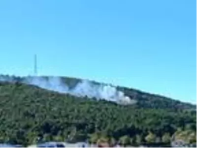 Son dakika haber: Sultanbeyli Aydos Ormanı'nda yangın -1 Son dakika haber: Sultanbeyli Aydos Ormanı'nda yangın -1