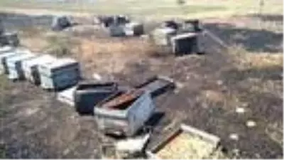 Son dakika! Tarlada çıkan yangında 50 kovan yandı, arılar telef oldu