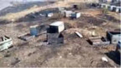 Son dakika! Tarlada çıkan yangında 50 kovan yandı, arılar telef oldu