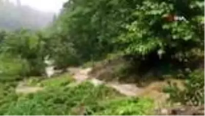 Son dakika haber... Trabzon'un Of ilçesinde şiddetli yağış