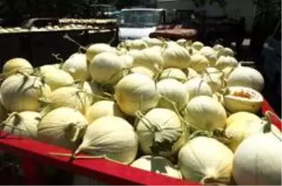 Tüm dünya bu kavunun peşinde Tüm dünya bu kavunun peşinde