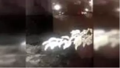 Yeni evli çift balayındayken evlerinden aldıkları haberle yıkıldı Yeni evli çift balayındayken evlerinden aldıkları haberle yıkıldı