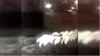 Yeni evli çift balayındayken evlerinden aldıkları haberle yıkıldı Yeni evli çift balayındayken evlerinden aldıkları haberle yıkıldı