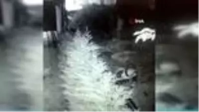 Yeni evli çift balayındayken evlerinden aldıkları haberle yıkıldı Yeni evli çift balayındayken evlerinden aldıkları haberle yıkıldı