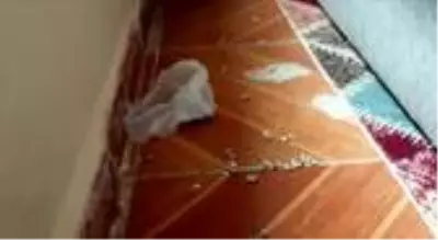 Son dakika haberi | Uyuşturucu maddelerin satışa hazır olduğunu öğrenen polisten, adrese şok baskın Son dakika haberi | Uyuşturucu maddelerin satışa hazır olduğunu öğrenen polisten, adrese şok baskın