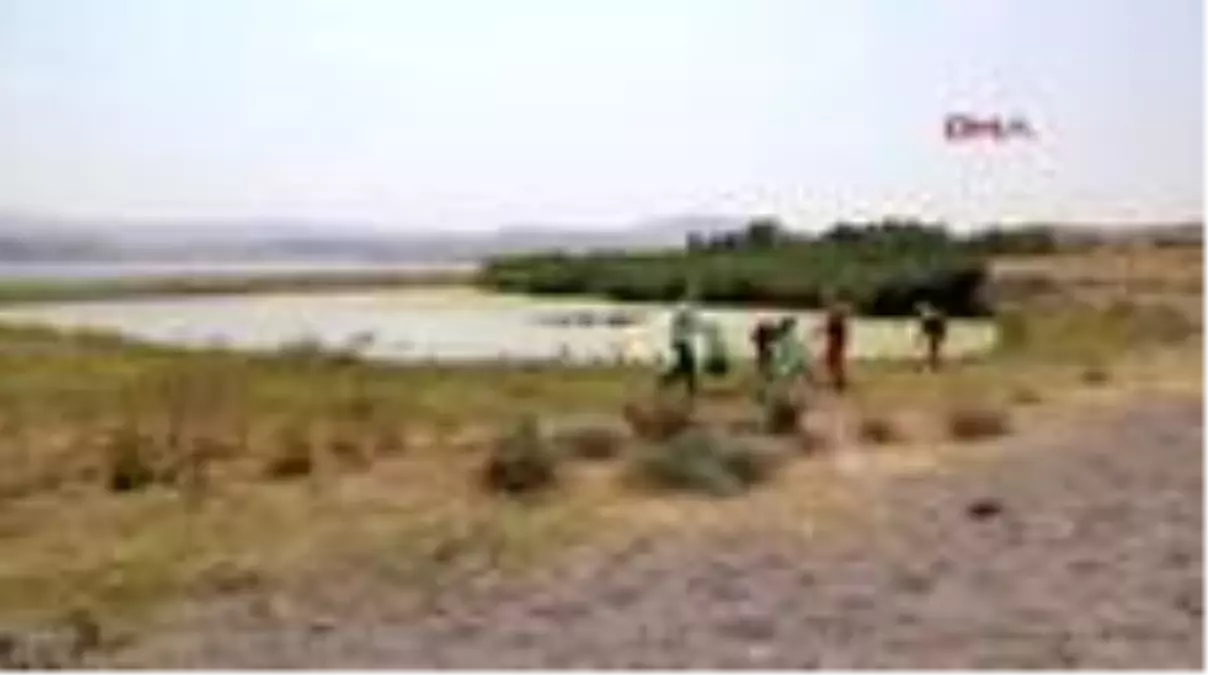 Son dakika haber! VAN BÜYÜKŞEHİR BELEDİYESİ MARTI ÖLÜLERİNİ TOPLADI