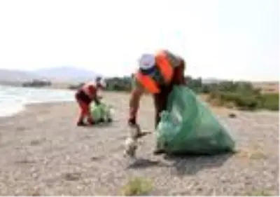 Son dakika! Van'da martı ölümlerinin nedeni; açlık ve stres (2) Son dakika! Van'da martı ölümlerinin nedeni; açlık ve stres (2)