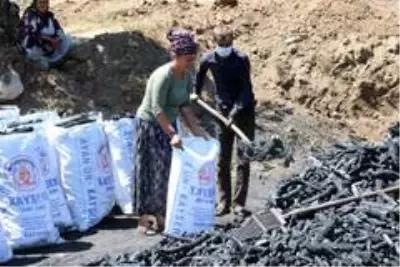 Yozgat'ta mevsimlik işçilerin zorlu 'mangal kömürü' mesaisi Yozgat'ta mevsimlik işçilerin zorlu 'mangal kömürü' mesaisi