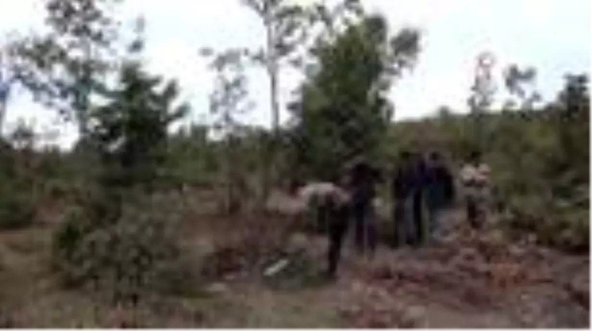 Yozgat'ta mevsimlik işçilerin zorlu 'mangal kömürü' mesaisi