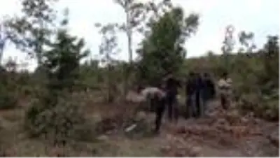 Yozgat'ta mevsimlik işçilerin zorlu 'mangal kömürü' mesaisi Yozgat'ta mevsimlik işçilerin zorlu 'mangal kömürü' mesaisi