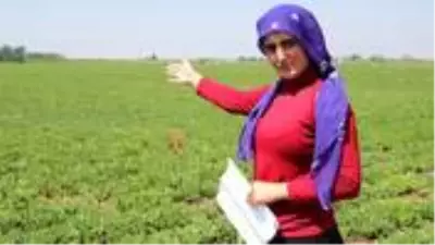 Zübeyde'nin çiftçilik hayalini kabusa çevirdiler! Önce taciz edildi sonra darp Zübeyde'nin çiftçilik hayalini kabusa çevirdiler! Önce taciz edildi sonra darp