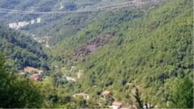Son dakika haberleri! Evde çıkan yangın ormana sıçradı Son dakika haberleri! Evde çıkan yangın ormana sıçradı