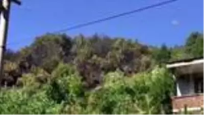 Son dakika haberi... Evden ormana sıçrayan yangın söndürüldü Son dakika haberi... Evden ormana sıçrayan yangın söndürüldü