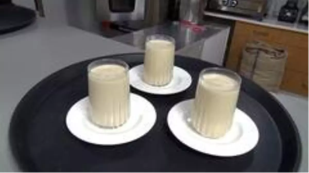 Fındığın sütünü çıkardılar