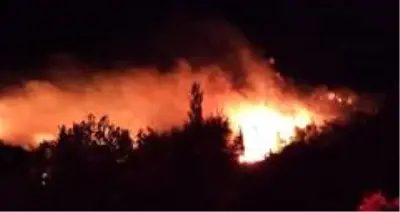 Son dakika haber: Hatay'da zirai alanda çıkan yangın korkuttu Son dakika haber: Hatay'da zirai alanda çıkan yangın korkuttu