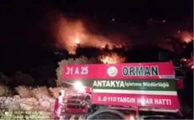 Son dakika haber: Hatay'da zirai alanda çıkan yangın korkuttu Son dakika haber: Hatay'da zirai alanda çıkan yangın korkuttu