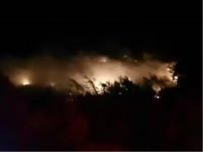 Son dakika haber: Hatay'da zirai alanda çıkan yangın korkuttu Son dakika haber: Hatay'da zirai alanda çıkan yangın korkuttu