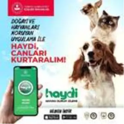 Son dakika gündem: 'HAYDİ' uygulamasını 17 günde 9 bin 453 kişi indirdi Son dakika gündem: 'HAYDİ' uygulamasını 17 günde 9 bin 453 kişi indirdi