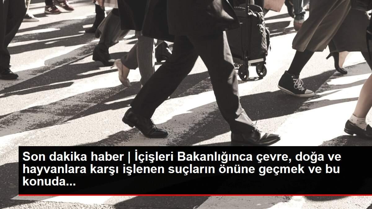 Son dakika haber | İçişleri Bakanlığınca çevre, doğa ve hayvanlara karşı işlenen suçların önüne geçmek ve bu konuda... Son dakika haber | İçişleri Bakanlığınca çevre, doğa ve hayvanlara karşı işlenen suçların önüne geçmek ve bu konuda...