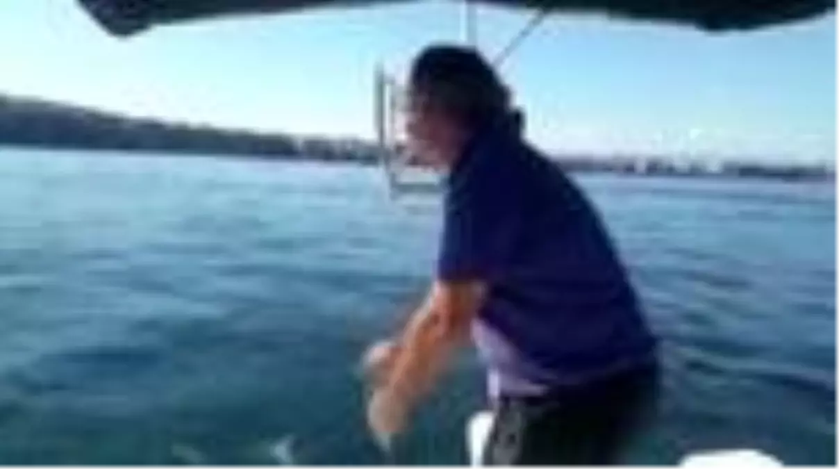 Karadeniz'de sezonun ilk palamutları avlandı