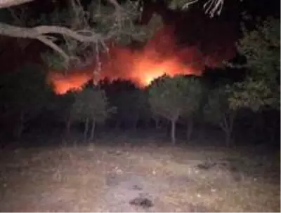 Son dakika haberi | Kazdağları'ndaki yangını büyümeden söndürüldü Son dakika haberi | Kazdağları'ndaki yangını büyümeden söndürüldü