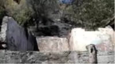 Son Dakika | Kömürlükte çıkan yangında 1 dönüm ormanlık alan zarar gördü Son Dakika | Kömürlükte çıkan yangında 1 dönüm ormanlık alan zarar gördü