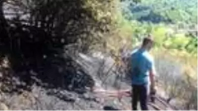 Son Dakika | Kömürlükte çıkan yangında 1 dönüm ormanlık alan zarar gördü Son Dakika | Kömürlükte çıkan yangında 1 dönüm ormanlık alan zarar gördü