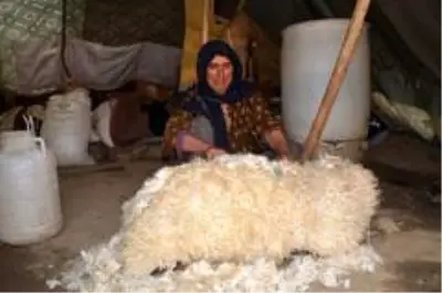 Koyun postu içinde kışlık peynir üretiliyor Koyun postu içinde kışlık peynir üretiliyor