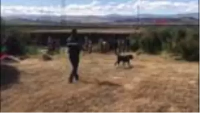 Son Dakika: Serinlemek için suya giren 2 çocuk kayboldu Son Dakika: Serinlemek için suya giren 2 çocuk kayboldu