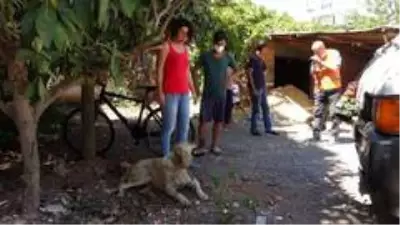 Son dakika haber: Sokak köpeğine uygunsuz hareketlerde bulunan yaşlı adam gözaltına alındı Son dakika haber: Sokak köpeğine uygunsuz hareketlerde bulunan yaşlı adam gözaltına alındı