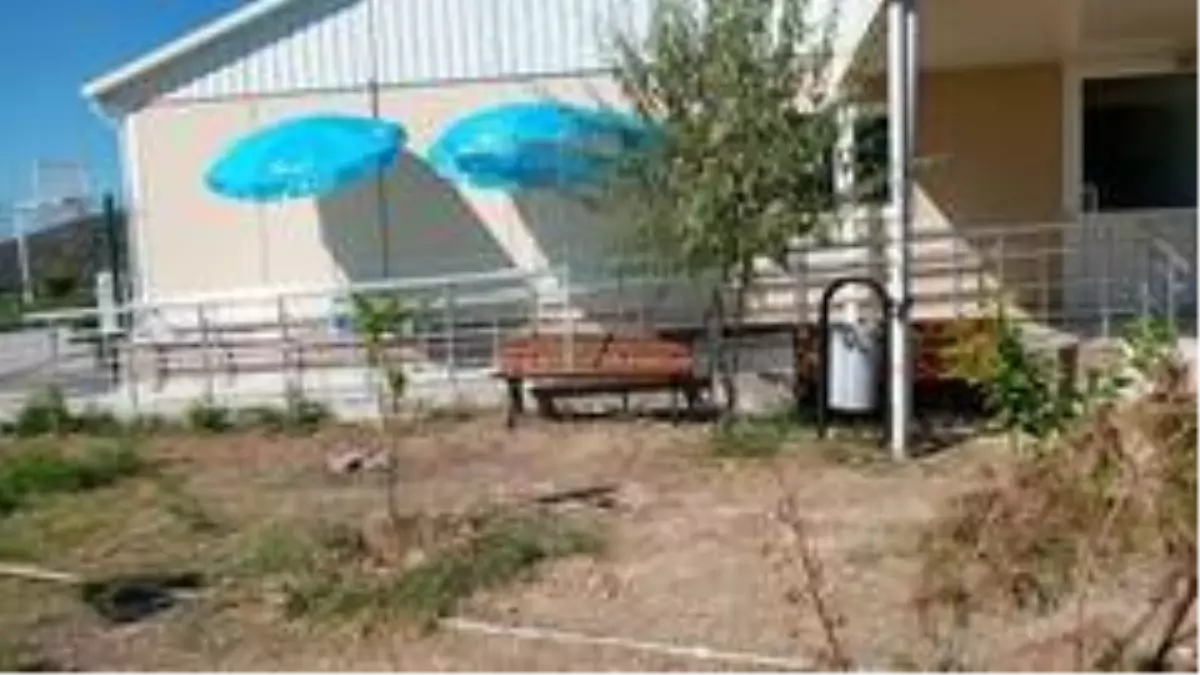 Tatilcilerin korona virüs kuyruğuna İl Sağlık Müdürlüğü el koydu