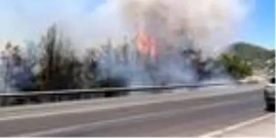 Son dakika... TIR'ın tekerinin kaplaması orman yangınına neden oldu Son dakika... TIR'ın tekerinin kaplaması orman yangınına neden oldu