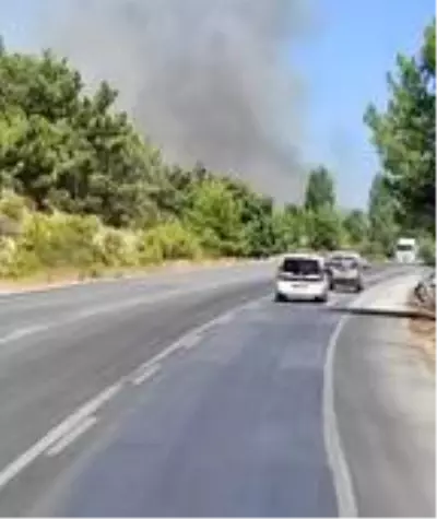 Son dakika... TIR'ın tekerinin kaplaması orman yangınına neden oldu Son dakika... TIR'ın tekerinin kaplaması orman yangınına neden oldu