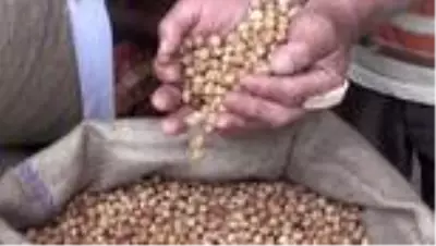 Son Dakika: 2020 yılı mahsulü fındığı ekonomiye ilk kazandıran firmalara ödül Son Dakika: 2020 yılı mahsulü fındığı ekonomiye ilk kazandıran firmalara ödül