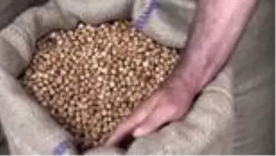 Son Dakika: 2020 yılı mahsulü fındığı ekonomiye ilk kazandıran firmalara ödül Son Dakika: 2020 yılı mahsulü fındığı ekonomiye ilk kazandıran firmalara ödül
