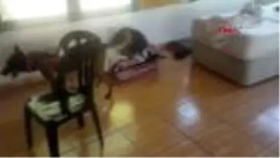 Son dakika haberi | ANTALYA Jandarmadan uyuşturucuyla amansız mücadele Son dakika haberi | ANTALYA Jandarmadan uyuşturucuyla amansız mücadele