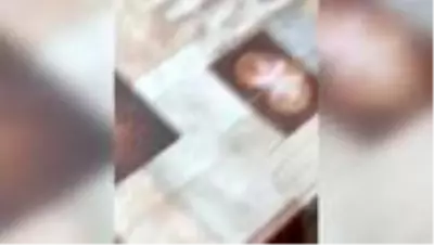 Cumhurbaşkanı Erdoğan, down sendromlu gençle görüntülü sohbet etti Cumhurbaşkanı Erdoğan, down sendromlu gençle görüntülü sohbet etti